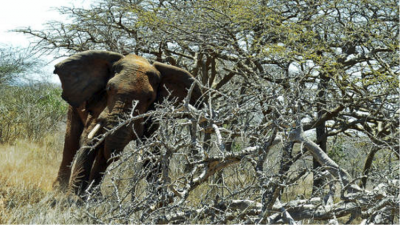 5c3600ccd437508b198b45cb