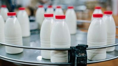 تحذيرات من  التخلي عن تناول منتجات الألبان وبيان مخاطرها