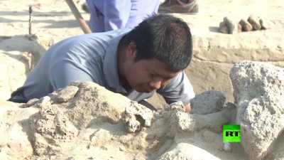 علماء آثار سعوديون وصينيون يكشفون عن نتائج التنقيب في ميناء السرين الأثري
