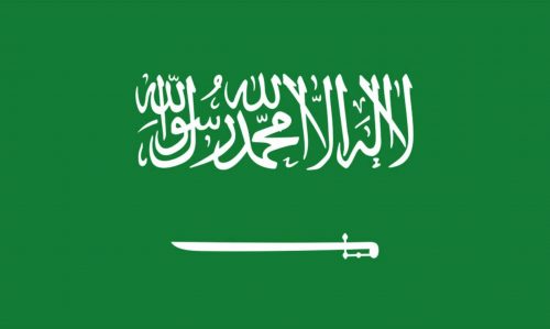 قفزات السعودية إلى مستوى عالمي