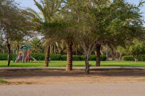 000-500365791556960038055