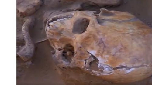 5cd81625d437504c408b45d0