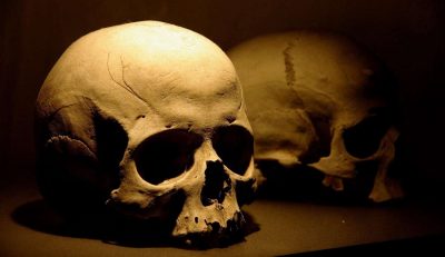 جمجمة عمرها 200 ألف عام تعيد كتابة تاريخ الإنسان