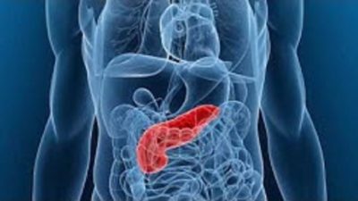 5d395b32d4375049148b457b