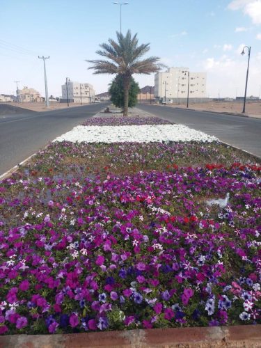 WhatsApp Image 2019-11-30 at 6.33.41 PM (1)