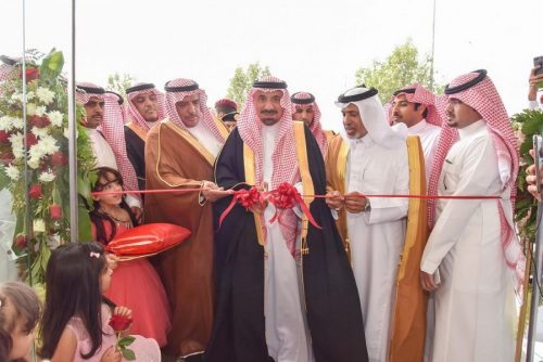 DST_1264165_1658604_202002111646437894