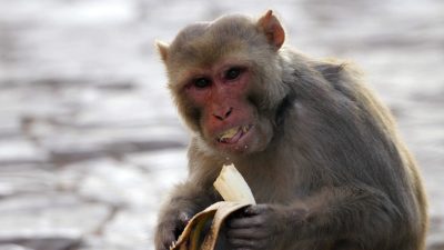 5eec743a4c59b7572306a88f