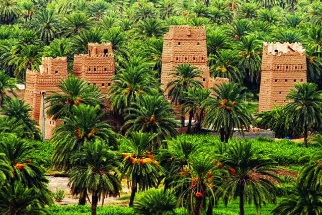 Tourism-in-najran-6