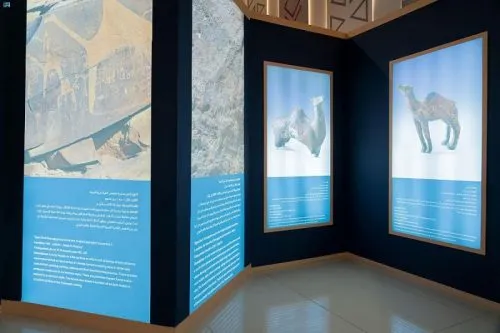 DST_1828512_3706553_43_7_2022121917000229