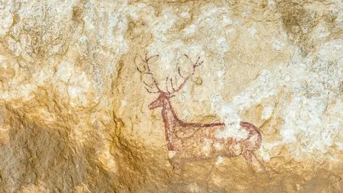 63b814024236040a71004bef