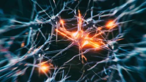 63d137c34c59b752055312ba