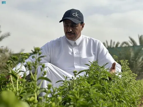 DST_1838955_3756445_22_5_2023011212522224