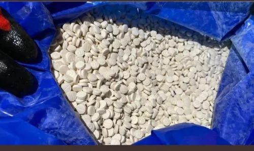 ec56d777-fcc1-4dc6-b65c-69f9bc2438f8