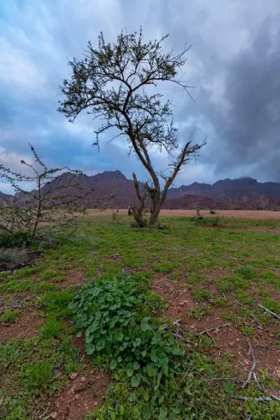 PHOTO-2023-02-01-14-17-28