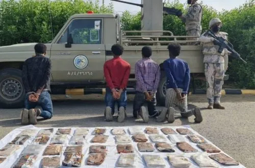 d0fce3b8-f588-4e8b-9da1-3b42c2e7540e