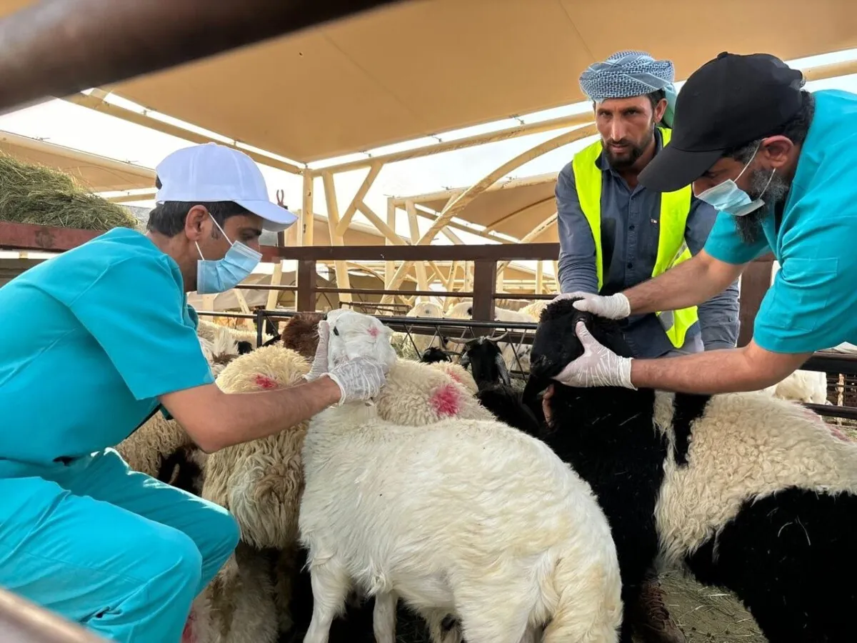 26e65f8f-41cc-43d5-bb32-ffc9c57bc64b